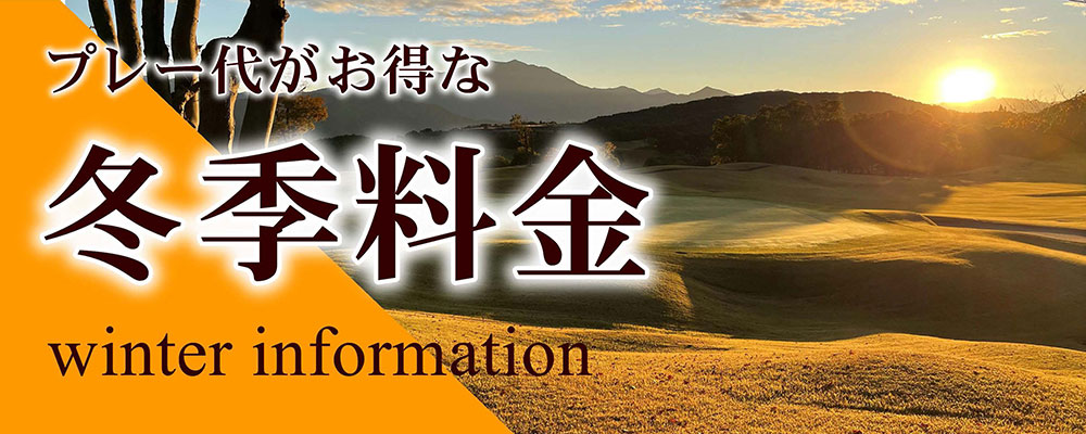 料金